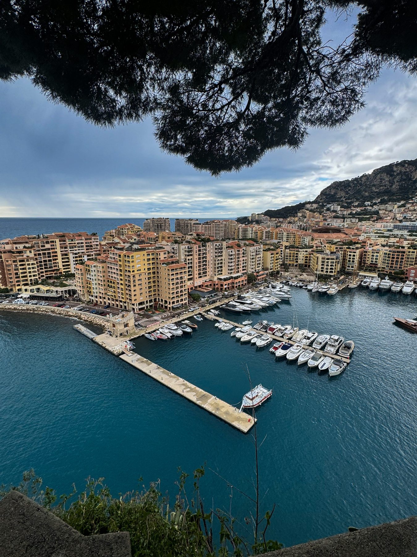 Aerial view of Fontvieille marina, Monaco