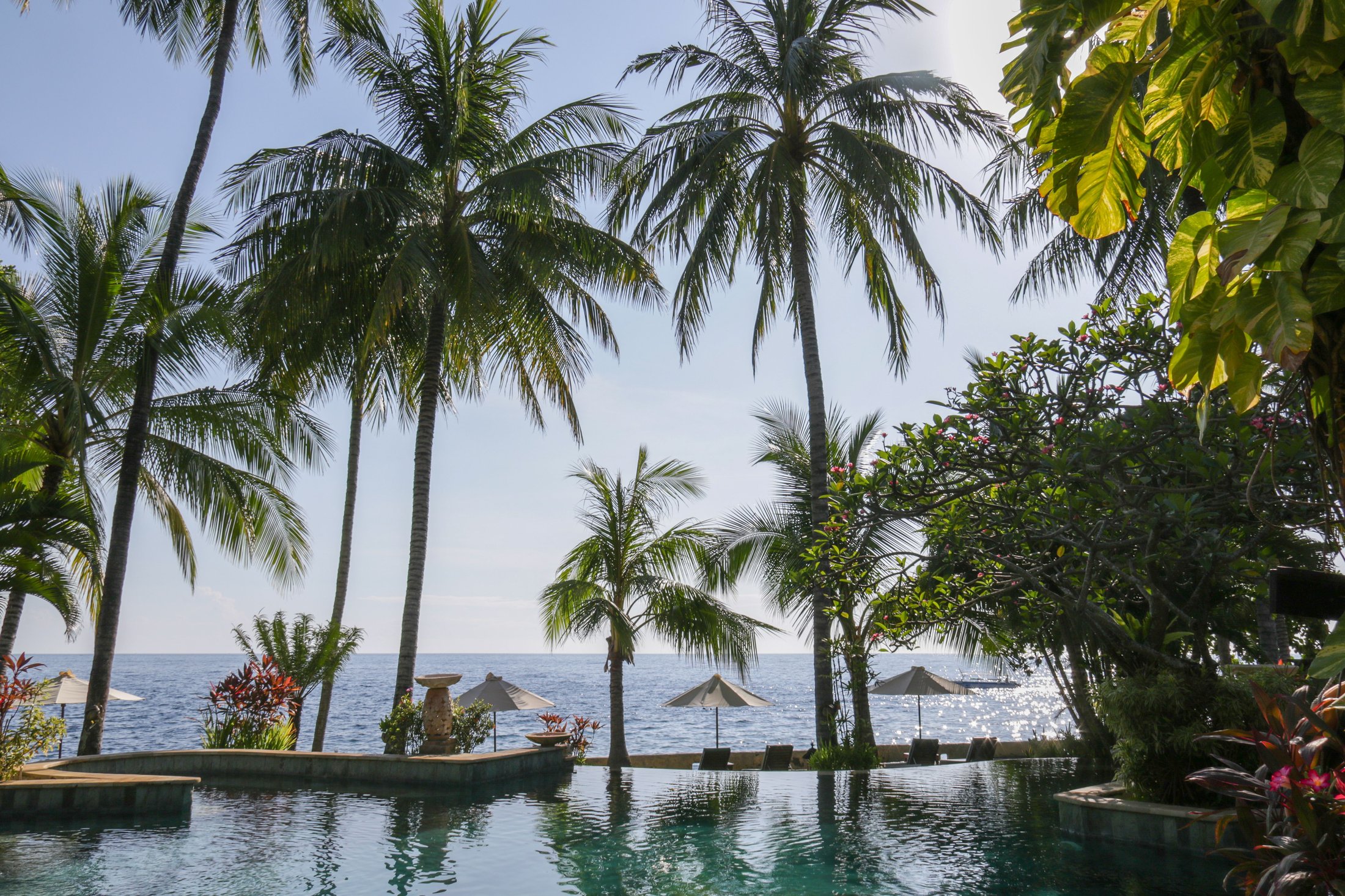 Palm trees framing an ocean view at a resort pool